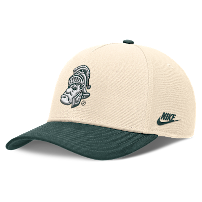 Michigan State Primetime Rise Academic