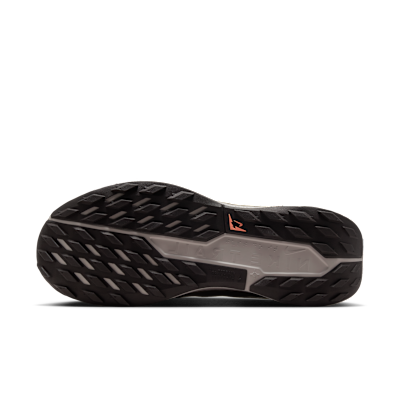 Nike Pegasus Trail 5 Men's Trail Running Shoes