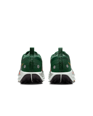 Nike Pegasus Trail 5 GORE-TEX