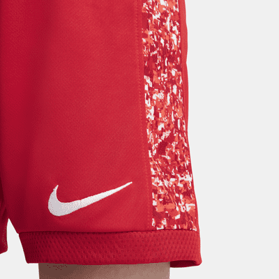 Shorts de entrenamiento estampados para niños talla grande Nike Dri-FIT Trophy