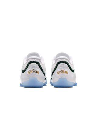 LeBron XXIII "From This Point Forward"