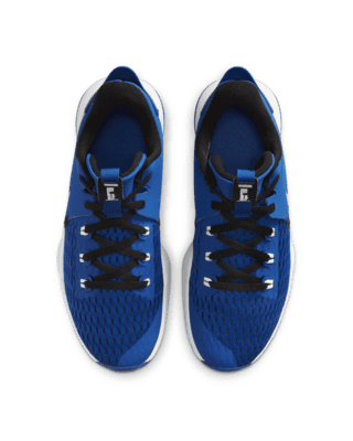 lebron witness 5 men