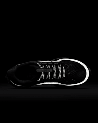 Nike Pegasus Premium