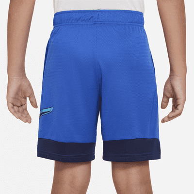 Nike Dri-FIT Big Kids' (Boys') Training Shorts