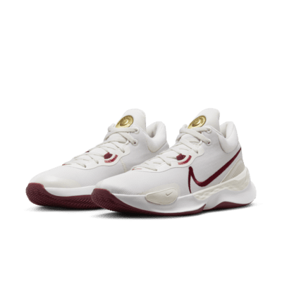 nike renew elevate iii men's basketball shoes