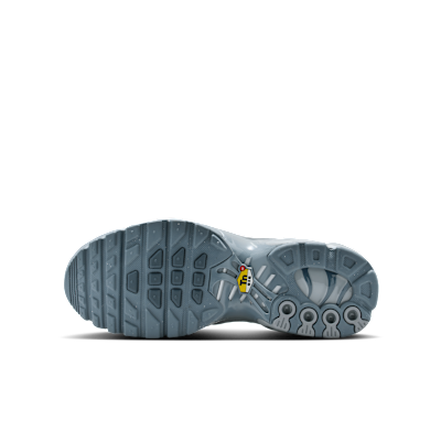 Nike Air Max Plus Big Kids' Shoes
