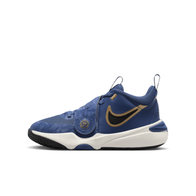 Παπούτσια μπάσκετ Nike Team Hustle D 11 για μεγάλα παιδιά