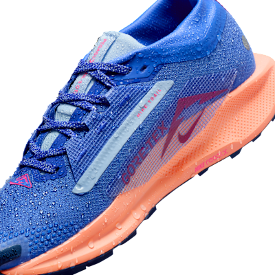 Nike Pegasus Trail 5 GORE-TEX Women's Waterproof Trail Running Shoes