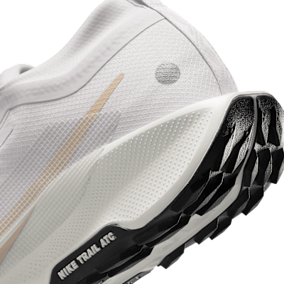 Chaussure de trail imperméable Nike Pegasus Trail 5 GORE-TEX pour homme