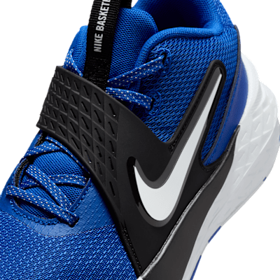 Basketsko Nike Team Hustle D 12 för ungdom