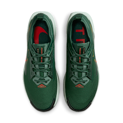 ナイキ ペガサス トレイル 5 GORE-TEX メンズ 防水 トレイル ランニングシューズ