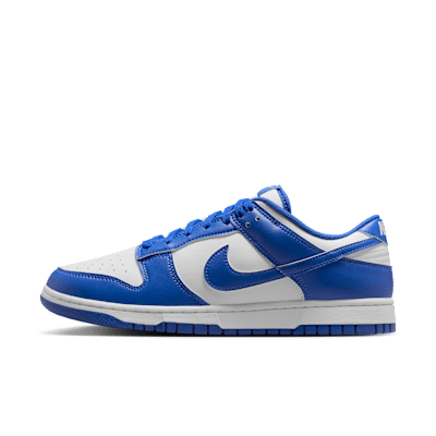 Nike Dunk Low Retro Men's Shoes