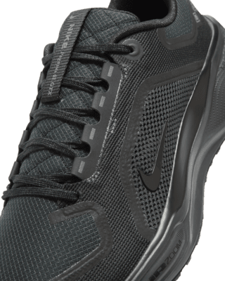 Nike Pegasus 41 GORE-TEX