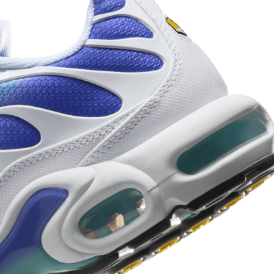 Chaussure Nike Air Max Plus pour homme