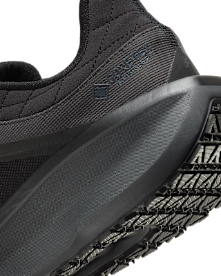 Nike Winflo 11 GORE-TEX