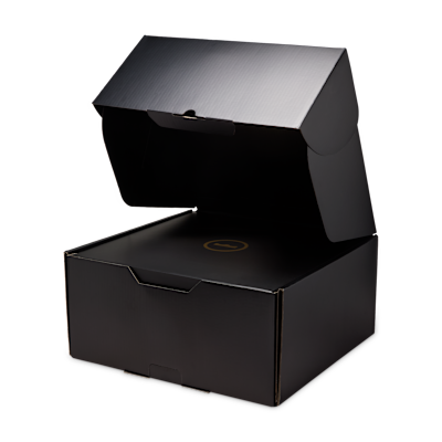 LeBron XXIII 'From This Point Forward' Basketball Shoes