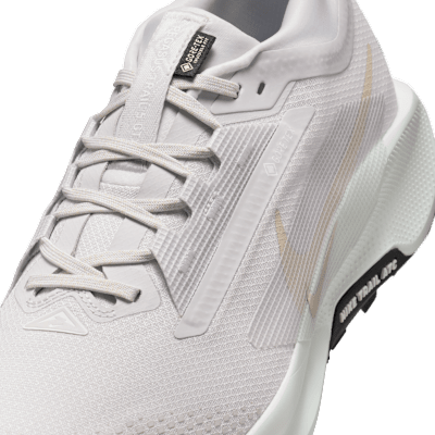 Chaussure de trail imperméable Nike Pegasus Trail 5 GORE-TEX pour homme