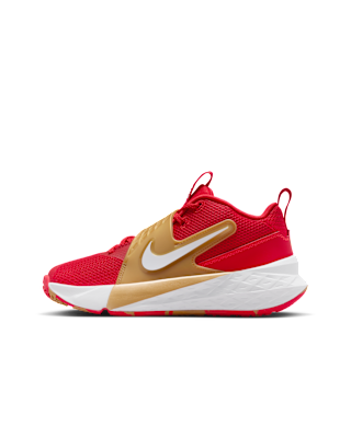 Детские кроссовки Nike Team Hustle D 12 Big Kids' Basketball для баскетбола