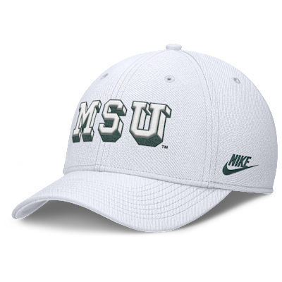 Michigan State Primetime Rise Academic