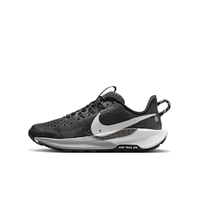 Nike Pegasus Trail 5