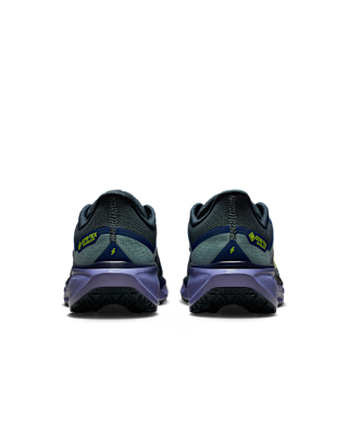 Nike Pegasus 41 GORE-TEX