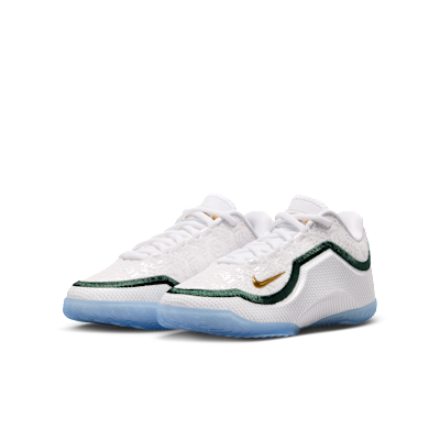 LeBron XXIII "From This Point Forward" 大童籃球鞋