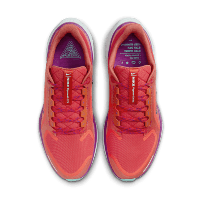 Nike Pegasus 41 GORE-TEX waterdichte hardloopschoenen voor heren (straat)