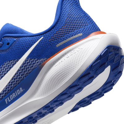 Tenis de correr en pavimento universitarios Nike para hombre Florida Pegasus 41