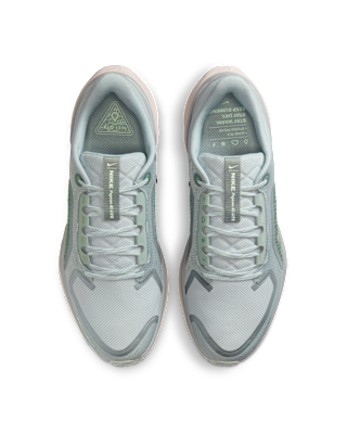 Nike Pegasus 41 GORE-TEX