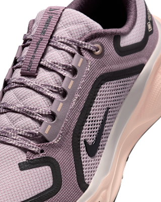 Nike Pegasus 41 GORE-TEX