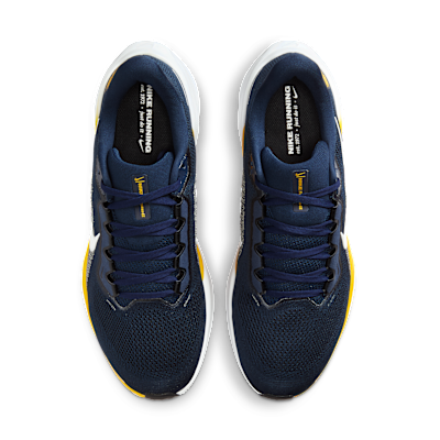 Michigan Pegasus 41 Men's Nike College Road Running Shoes
