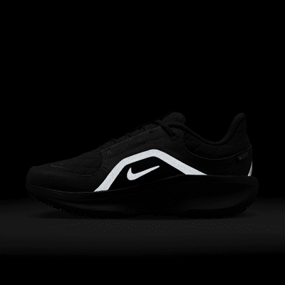 Damskie wodoszczelne buty do biegania po asfalcie Nike Winflo 11 GORE-TEX