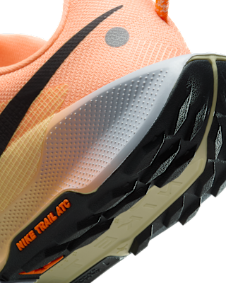 Nike Pegasus Trail 5