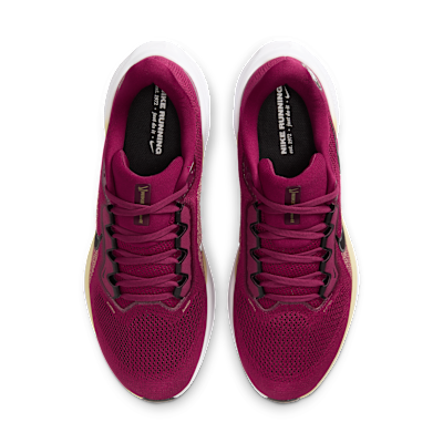Florida State Pegasus 41 Men's Nike College Road Running Shoes
