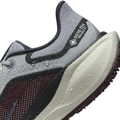 Scarpa impermeabile da running su strada Nike Pegasus 41 GORE-TEX – Uomo