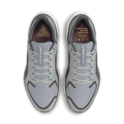 Scarpa impermeabile da running su strada Nike Pegasus 41 GORE-TEX – Uomo