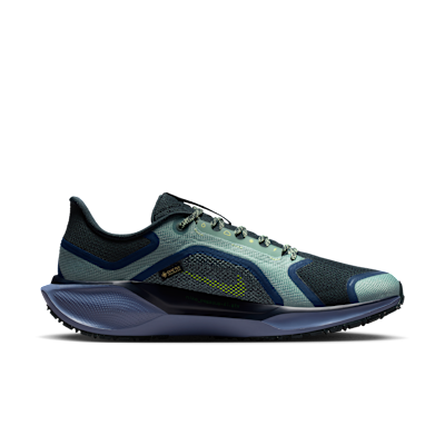 Nike Pegasus 41 GORE-TEX Men's Waterproof Road Running Shoes