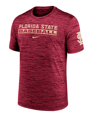 Мужская футболка Florida State Seminoles Velocity Baseball Wordmark Stack Nike Dri-FIT College