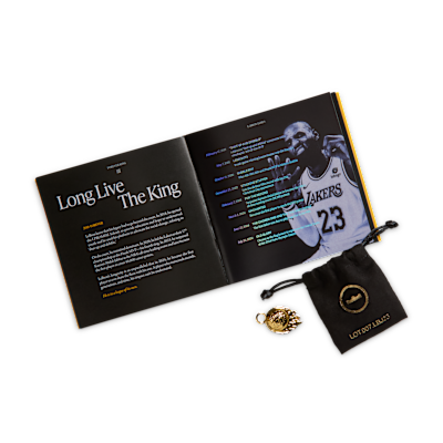 LeBron XXIII 'Best In Class' Basketball Shoes