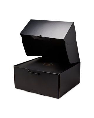 LeBron XXIII "Grand Opening" EP