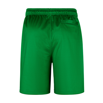 Nike "Grateful Duck" Men's Mesh Shorts