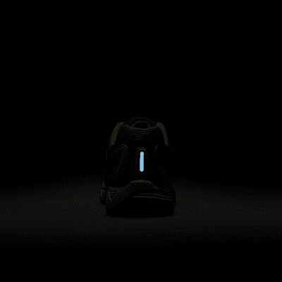 Nike Air Pegasus 2005 SE Schuh (Herren)