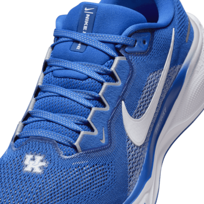 Kentucky Pegasus 41 Men's Nike College Road Running Shoes