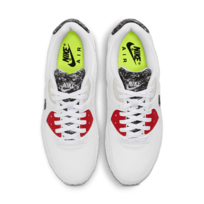 Nike Air Max 90 Men's Shoes