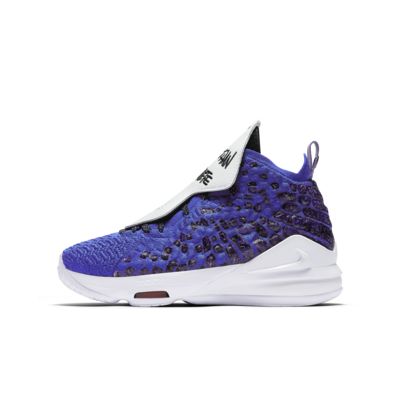 lebron shoes kids purple