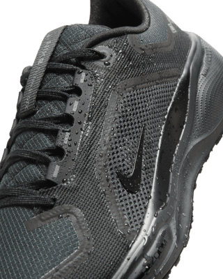 Nike Pegasus 41 GORE-TEX