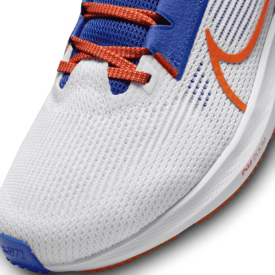Nike Pegasus 40 (Florida) Men's Road Running Shoes. Nike.com