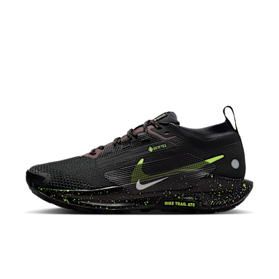 Nike Pegasus Trail 5 GORE-TEX