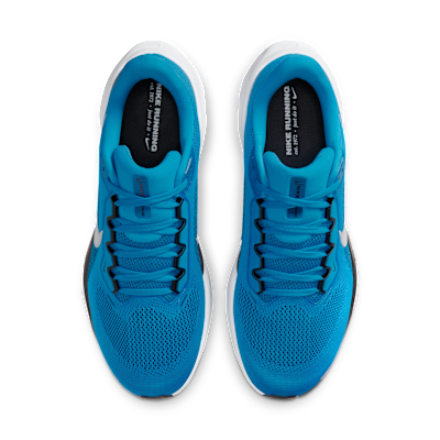 Carolina Panthers Pegasus 41 Men's Nike NFL Road Running Shoes