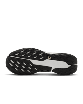 Nike Pegasus Trail 5 GORE-TEX